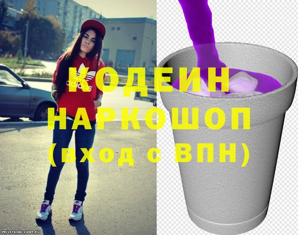 шишки Сясьстрой