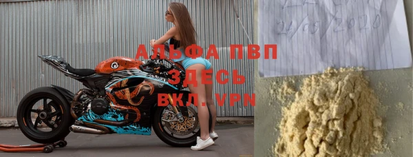 эйфоретик Тайга