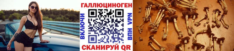 Галлюциногенные грибы Cubensis продажа наркотиков Глазов